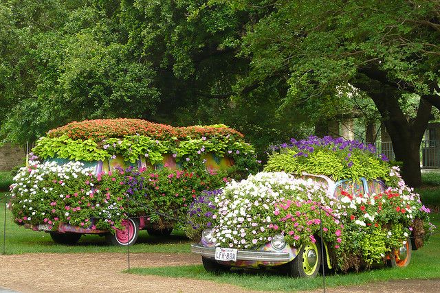 Coche, primavera y alergias